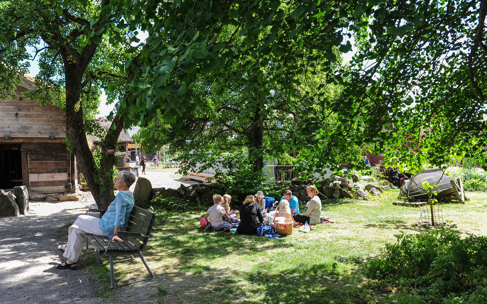 Besökare har picknick på en gräsmatta i friluftsmuseet på Kulturen i Lund